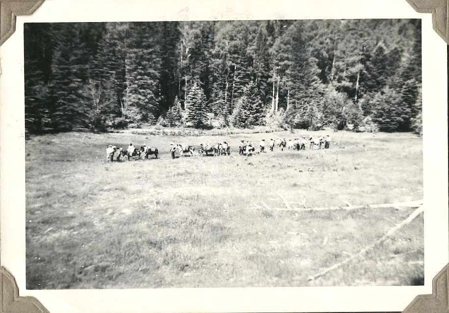 On the trail to
                          Porcupine Shelter