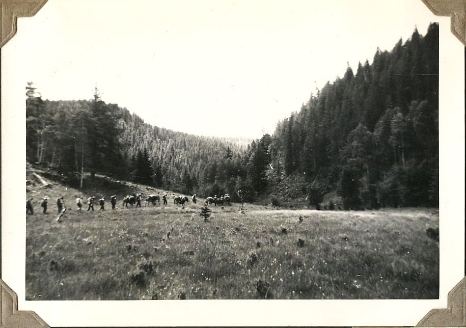 Trail to Apache
                          Creek